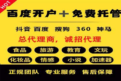 专业SEM服务托管方案案例分析